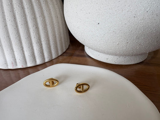 Boucles d'oreilles nez de cochon